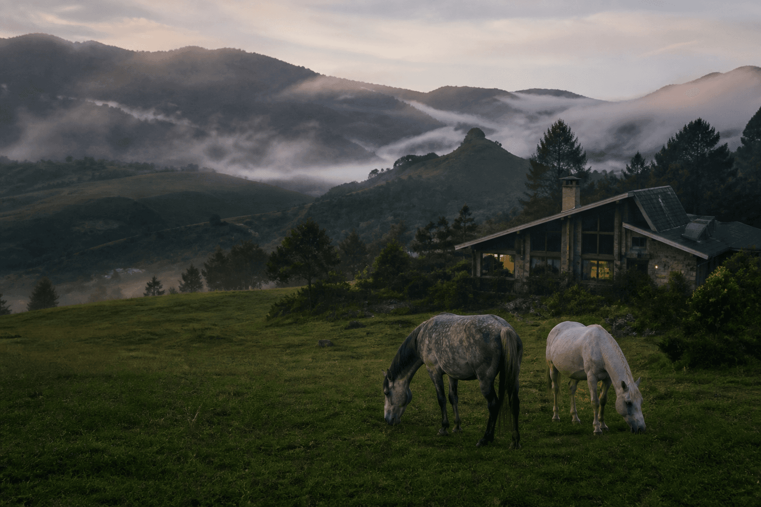 Chevaux dans les pâturages des Hauts-Plateaux au lever du jour